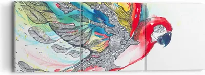 Produktbild von Bild auf Leinwand - Leinwandbild - Parrot Flügel Federn Natur - 90x30cm - Wand Bild - Wanddeko - Leinwanddruck - Bilder - Kunstdruck - Wanddekoration - Leinwand bilder - Wandkunst - CA90x30-3008