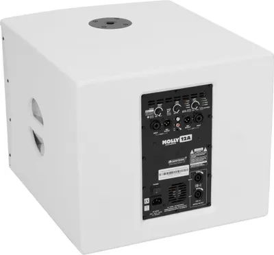 Obrázek produktu pro Omnitronic 11039051 Subwoofer Weiß Aktiver Subwoofer 500 W (11039051)