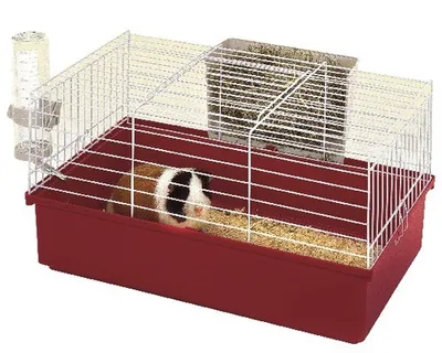 Image de Cage pour rongeurs CAVIE 60 Ferplast 58 x 38 x 31,5 cm, différentes couleurs