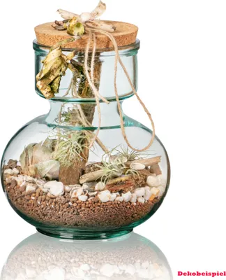 Produktbild von Volcano Flower Gläserner Garten (Flaschengarten) - Komplett Set - Höhe 25 cm