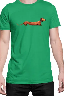 Immagine prodotto di Maglietta da uomo Funny Dogs Breeds Dachshund Dog Breed 020, Man L , Vert