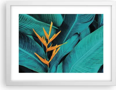 Produktbild von Gerahmtes Poster - Weißer Rahmen - Blumen Tropen Blätter - 40x30 cm - Wand Bild - Wanddeko - Wandbilder - Kunstposter - Wandposter - Bilderrahmen - Bilder - Kunstdruck - P2WAA40x30-5116