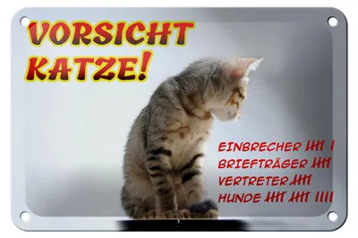 Produktbild von Blechschild Hinweis 18x12cm Vorsicht Katze Strichliste