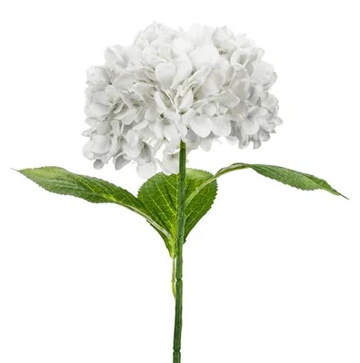 Produktbild von Künstliche Blume - Hortensie Premium, 69 cm, weiß