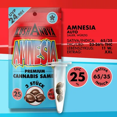 Immagine prodotto di Semi di cannabis Kushanova - Amnesia Haze