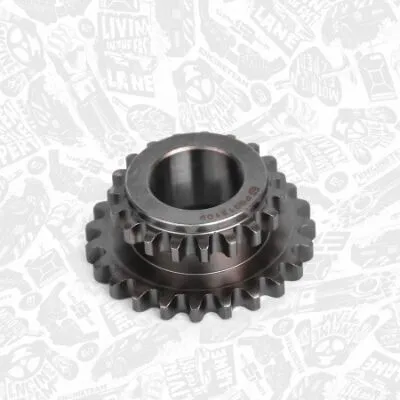 Produktbild von ET ENGINETEAM Kurbelwellenrad Kurbelwelenrad RG0019 für VW GOLF VI (5K1)