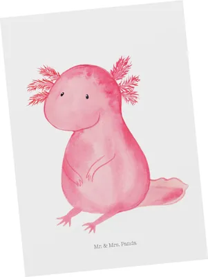 Produktbild von Mr. & Mrs. Panda Postkarte Axolotl Niedlich - Weiß - Geschenk, bildkarte, Postkarten, Fotokarte, Liebe, Ansichtskarte, Freundin, Weisheit, Lebensweisheit, Zufrieden