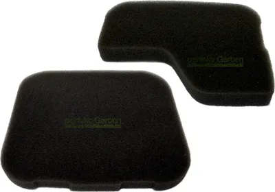 Immagine prodotto di 2 filtri aria per GGP ED46ST FL46LM FW46TG GD92154 GT46SA ML43LP 180130251-T323