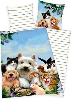Produktbild von Selfies Haustiere Bettwäsche / 80x80 cm + 135x200 cm