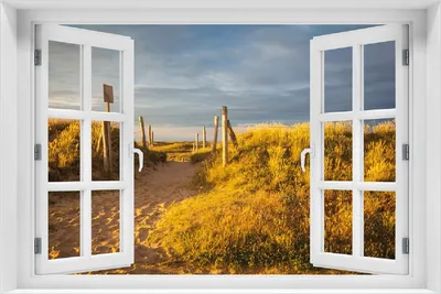 Produktbild von Wallario Poster mit Fenster-Illusion: Düne am Strand bei Sonnenuntergang in Frankreich, Größe: 100 x 150 cm