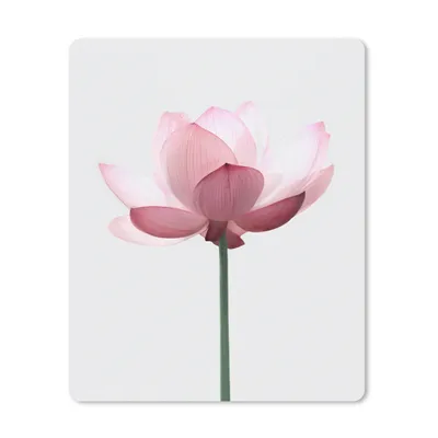 Produktbild von MuchoWow® Mauspad Mousepad Blumen - Rosa - Natur - Botanisch 19x23 cm - Mousepads - Maus Mat - Pad - Mausunterlage - Mauspads - Spielen