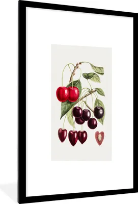 Produktbild von MuchoWow® Gerahmtes Poster Lebensmittel - Kirschen - Obst 60x90 cm - Poster mit Schwarzem Bilderrahmen Wandposter Rahmen Foto Bilder - Dekoration - Wandposter Wohnzimmer - Hochwertig