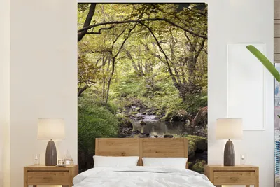 Produktbild von Fotobehang für Bäume - Breite 170 cm x Höhe 260 cm