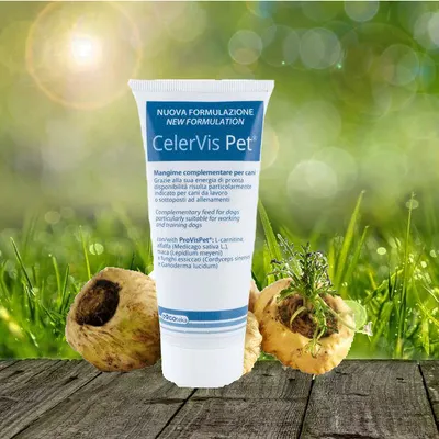 Produktbild von Dogoteka - CelerVis NEW Energiepaste - 100 g   Energieunterstützung bei Leistungshunden - geschwächte Hunde - bei Rekonvaleszenz