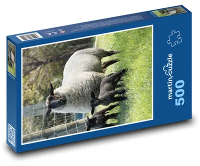 Obrázek produktu pro Puzzle 500 Ovce a jejich jehňata na louce - martinpuzzle