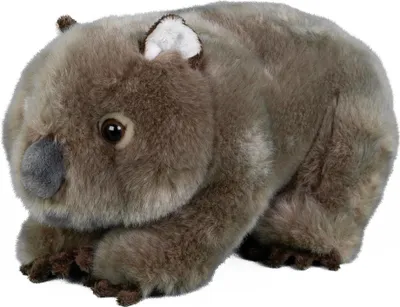 A plush toy wombat is shown against a white background.