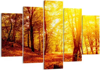 Produktbild von Bild auf Leinwand - Leinwandbild - Wald Baum Natur - 150x100cm - Wand Bild - Wanddeko - Wandbilder - Leinwanddruck - Bilder - Kunstdruck - Wanddekoration - Leinwand bilder - Wandkunst - EA150x100-3722
