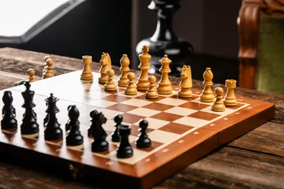 Image de Échecs de tournoi intemporels (allemands) Staunton n° 5 (48x48cm)