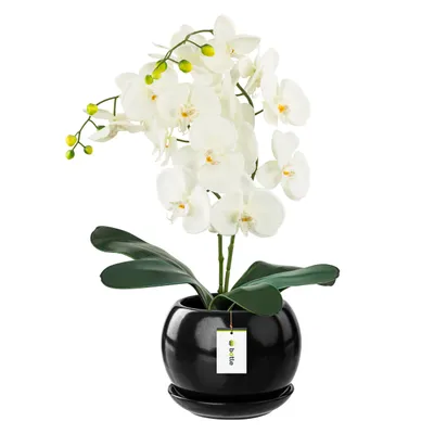 Zdjęcie produktu dla Doniczka czarna okrągła Wysokość 16 cm Miska na kwiaty ze spodkiem Ceramiczny połysk glamour