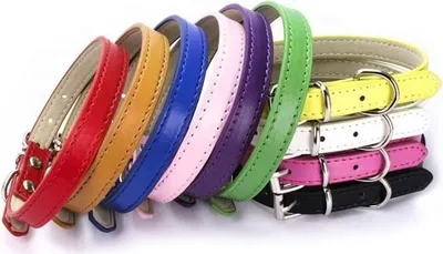 Produktbild von Hundehalsband NERO, weiß, Größe XXS, für Halsumfang 23-28 cm, 1 cm breit