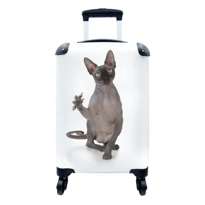 Produktbild von MuchoWow® Koffer Handgepäck Trolley Rollkoffer Kleine Reisekoffer mit 4 Rollen - Eine kratzende Sphynx auf weißem Hintergrund - Cabin Size < 55x40x23 cm & 55x40x20 cm - Fotokoffer - Kabinenkoffer - Boardgepäck - Reise-Box - Reisekoffer - Reisegepäck - Koffer mit Bild - Trolley für Kinder