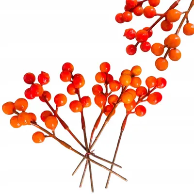 Produktbild von Składnica Towarów Różnych Vogelbeerenzweige für Dekoration 16cm