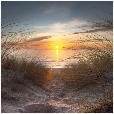Produktbild von Wallario Memoboard Magnettafel aus Glas, Größe 50 x 50 cm, Motiv Sonnenuntergang am Strand
