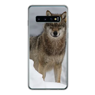 Produktbild von MuchoWow® Handyhülle Schutzhülle Hülle für Samsung Galaxy S10 Wolf - Schnee - Tiere Silikon Softcase Handy Hülle - Handytasche