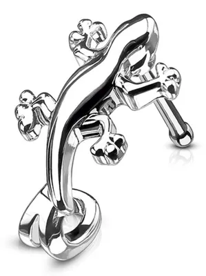 Produktbild von Nasenstecker „Eidechse“: Nasenpiercing Nasenring 316L Silber