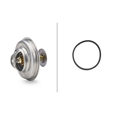 Produktbild von Chladicí kapalina termostatu pro Citroen/Peugeot/Rover
