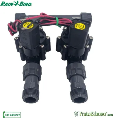Image de Collecteur à 2 stations avec électrovanne Rain Bird DV 9V