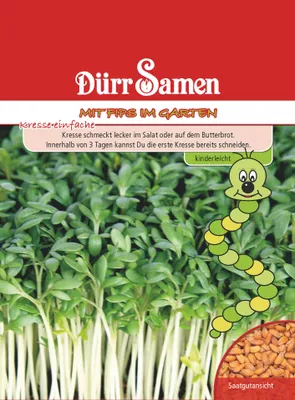 Produktbild von Dürr-Samen - Kindersorte Kresse einfache - Saatgut - 4231