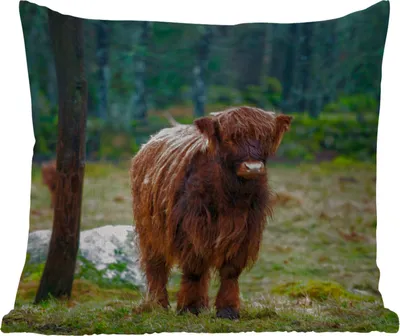 Produktbild von MuchoWow® Outdoor Kissen - Schottisches Hochlandrind - Wald - Moos - 45x45 cm - Wetterfest - Lounge Kissen - Fotokissen - Dekoratives Kissen
