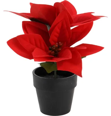 Produktbild von Weihnachtsstern im Topf, künstlich, H. 18 cm