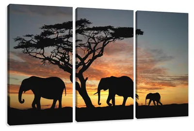 Obrázok produktu pre Obraz na plátne Afrika Slony 3-dielny 160x90 cm zarámovaný