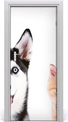 Produktbild von Tulup Türaufkleber 85x205 cm Dekorative Aufkleber Selbstklebend Wasserdichte Tapete Abnehmbar Schlafzimmer Wohnzimmer Wohnkultur - Hund und Katze Wand