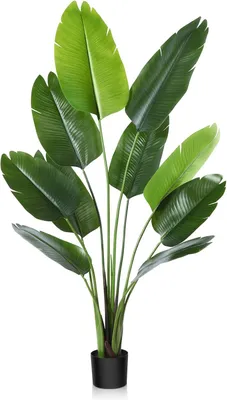 Image de Plante artificielle - Oiseau de paradis en pot, pour intérieur et extérieur - Décoration sans entretien - Vert