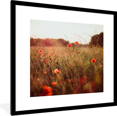 Produktbild von MuchoWow® Gerahmtes Poster Sonnenuntergang - Blumen - Rot 40x40 cm - Poster mit Schwarzem Bilderrahmen Wandposter Rahmen Foto Bilder - Poster - Plakat im Rahmen