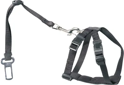 Produktbild von D&D Autogeschirr Chest Girth, Größe: XS