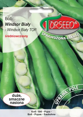 Produktbild von Seeds of Windsor White TOR Puffbohnen 50g - Torseed