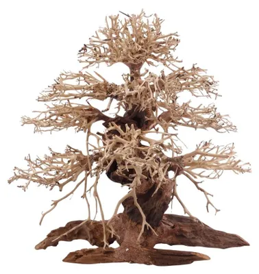 Produktbild von Premium Bonsai Baum XL 40x20x40 Wurzel Holz Aquarium Deko Aquascaping