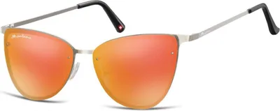 Image de Lunettes de vue polarisées Montana MP10B, gris