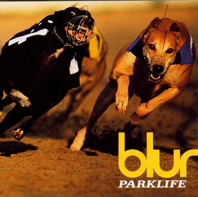 Zdjęcie produktu dla Parklife