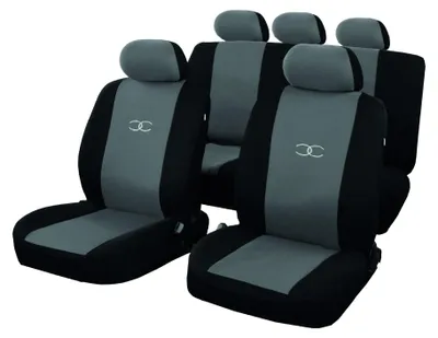 Productafbeelding van Carfactory 0842034570085: Beschermhoes, grijs