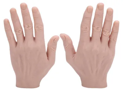 Produktbild von Wiederverwendbare Männerhand - Silikon Handmodell - Lebensgroßes Display - Schmuckdisplay