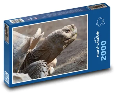 Obrázek produktu pro martinpuzzle - Puzzle 2000 - Obrovská želva
