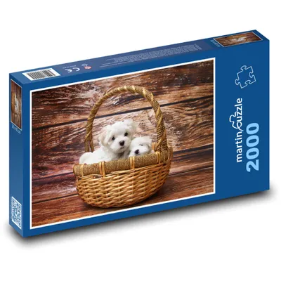 Zdjęcie produktu dla martinpuzzle - Puzzle 2000 - Dwa urocze szczenięta w koszyku