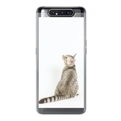Produktbild von MuchoWow® Handyhülle Schutzhülle Hülle für Samsung Galaxy A80 Katze - Haustiere - Fell Silikon Softcase Handy Hülle - Schutzdeckel