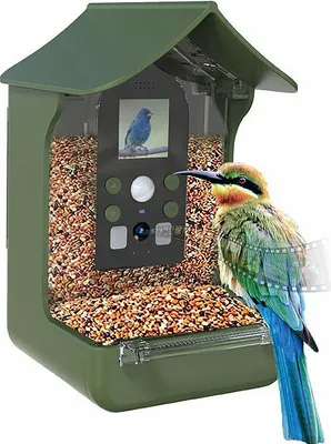 Image de Mangeoire à oiseaux avec caméra Full HD
