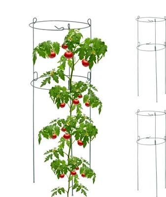 Produktbild von Relaxdays Rankhilfe 3er Set, Metall, runde Pflanzenstütze Tomaten & Gurken, HxD: 76 x 26 cm, 2 Ringe, Gurkenturm, grün